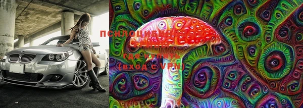 ECSTASY Белоозёрский