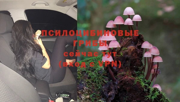 ECSTASY Белоозёрский