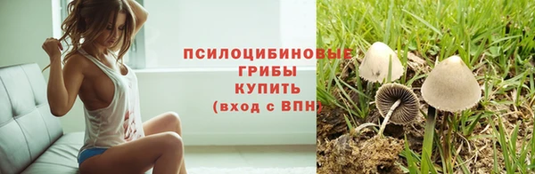 ECSTASY Белоозёрский