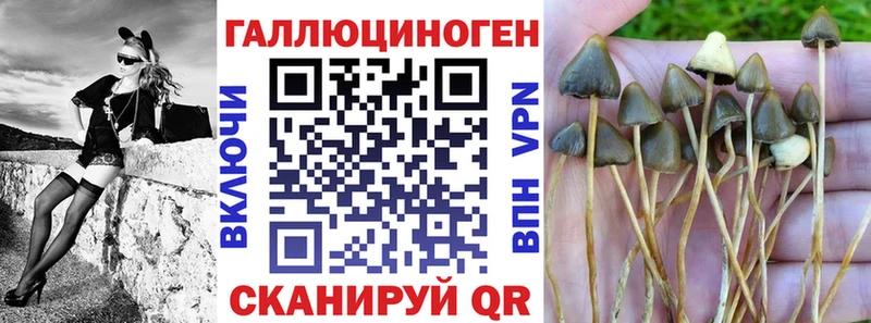 даркнет сайт Маркс Галлюциногенные грибы мицелий
